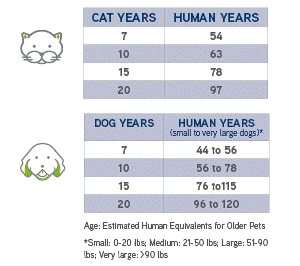 age of pets
