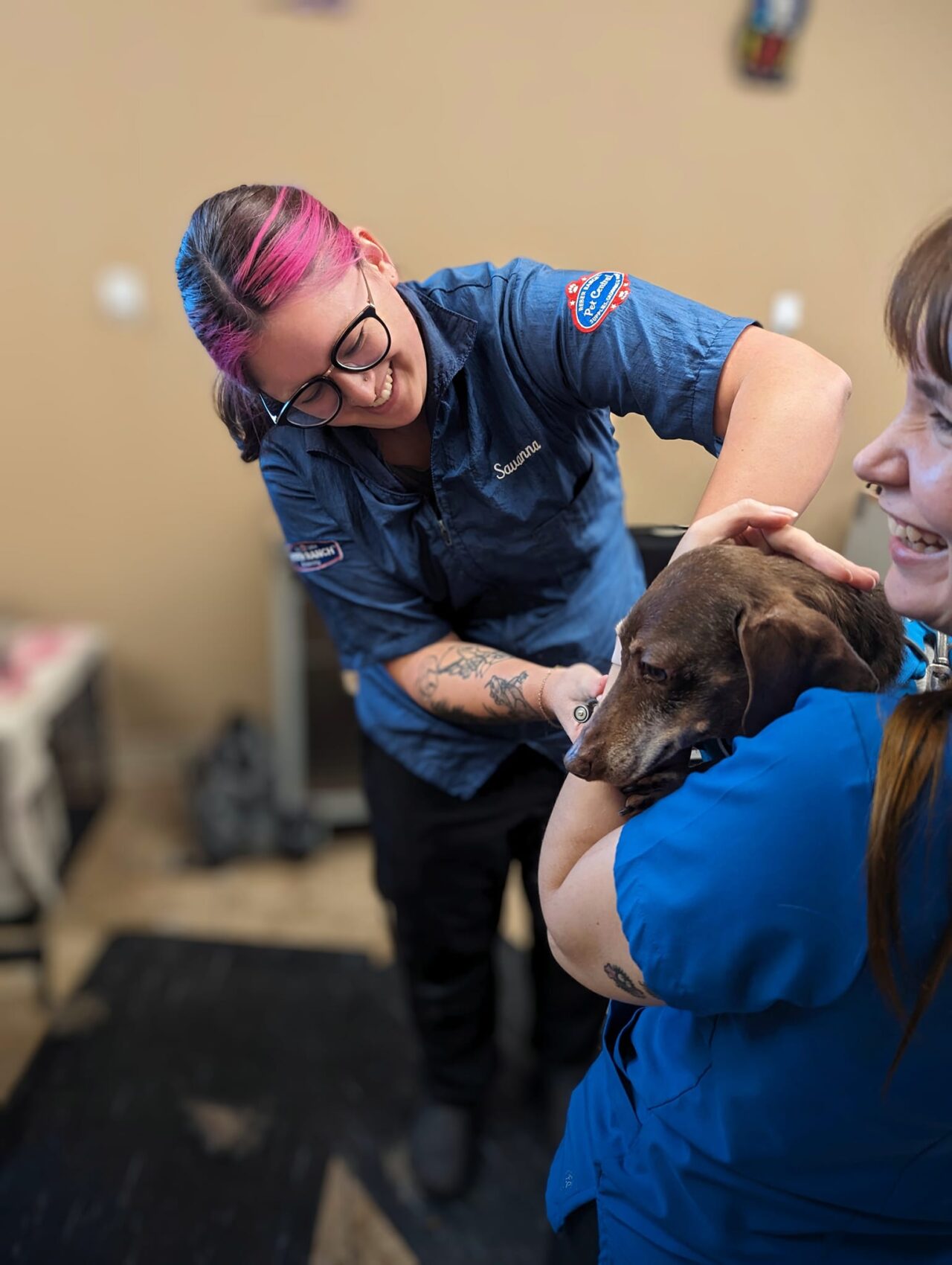 About Reber Ranch Veterinary Hospital | Vet In Kent, WA