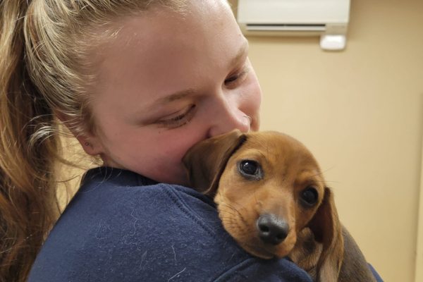 Springtime Flea & Tick Prevention: Protect Your Pets as the Weather Warms Up